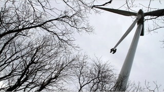 Amazing Jobs: Wind Turbine Cleaner